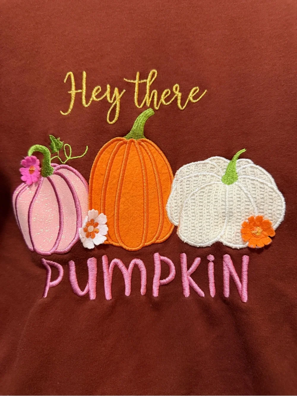 Rare Editions brown fall sweatshirt with ruffles and textured pumpkins, girl's 6